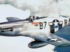 p-51-361